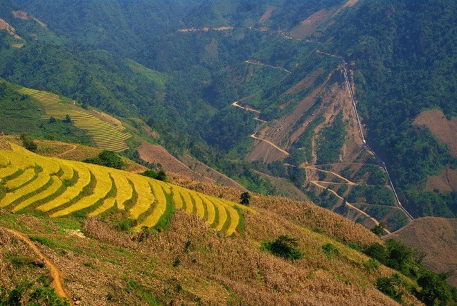 Terraced paddy fields in Chieng An - ảnh 4